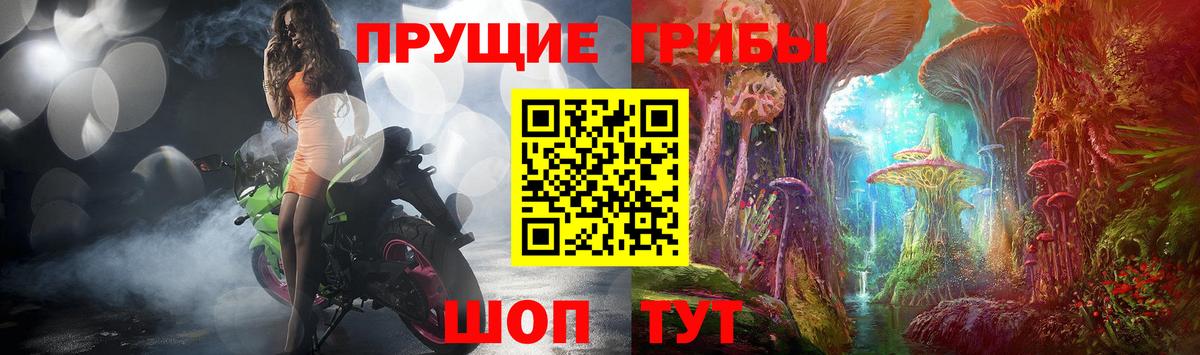 Псилоцибиновые грибы Psilocybe Гулькевичи